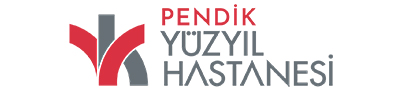 pendik logo
