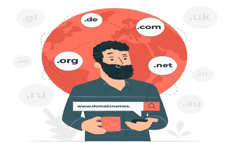 domain alan adi nedir